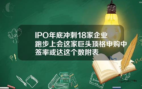 IPO年底冲刺18家企业跑步上会这家巨头顶格申购中签率或达这个数附表