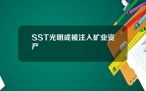 SST光明或被注入矿业资产