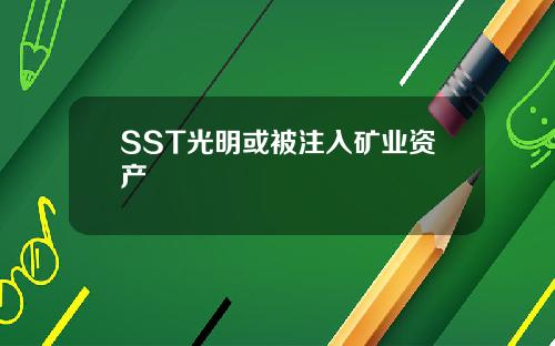 SST光明或被注入矿业资产