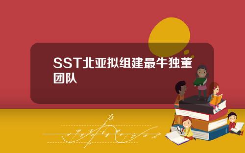 SST北亚拟组建最牛独董团队