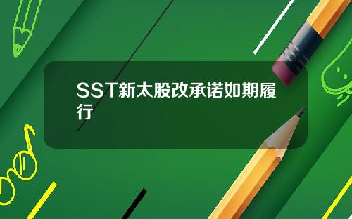 SST新太股改承诺如期履行