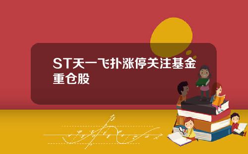 ST天一飞扑涨停关注基金重仓股