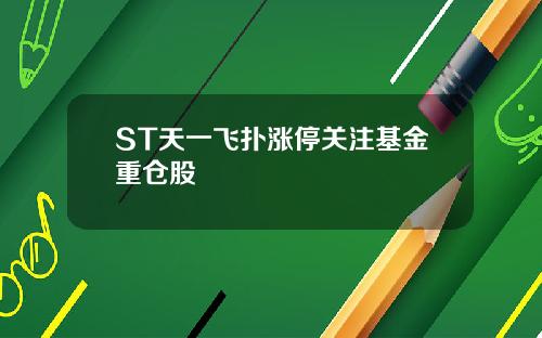 ST天一飞扑涨停关注基金重仓股