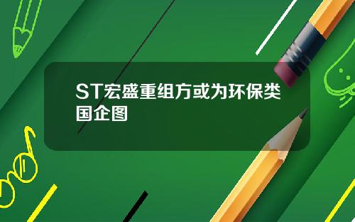 ST宏盛重组方或为环保类国企图
