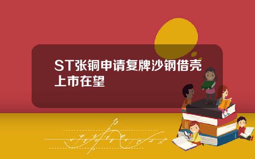 ST张铜申请复牌沙钢借壳上市在望