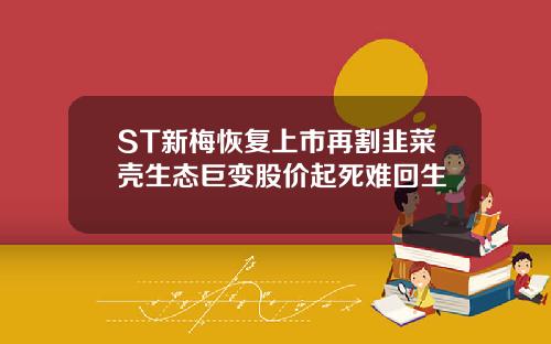 ST新梅恢复上市再割韭菜壳生态巨变股价起死难回生