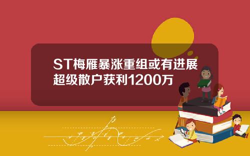 ST梅雁暴涨重组或有进展超级散户获利1200万