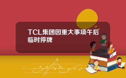 TCL集团因重大事项午后临时停牌