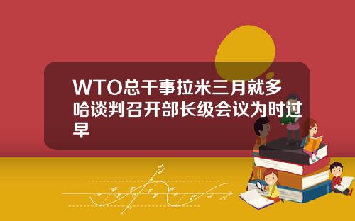 WTO总干事拉米三月就多哈谈判召开部长级会议为时过早