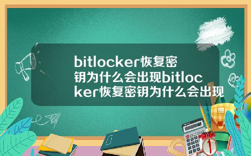 bitlocker恢复密钥为什么会出现bitlocker恢复密钥为什么会出现Win11
