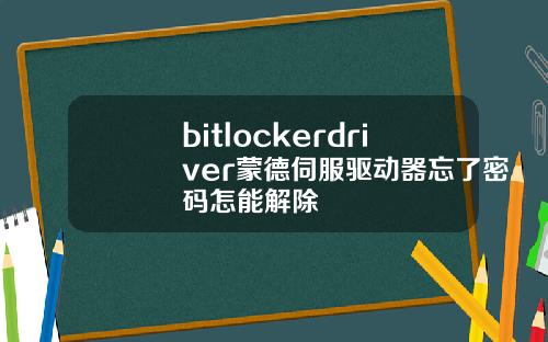 bitlockerdriver蒙德伺服驱动器忘了密码怎能解除