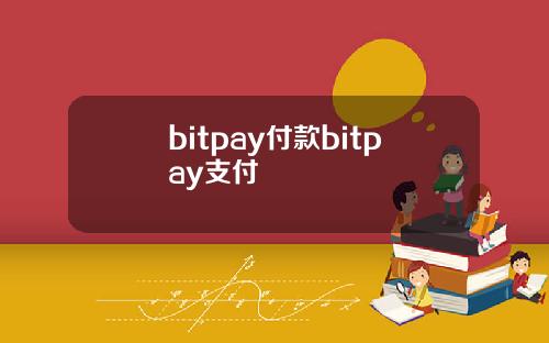 bitpay付款bitpay支付