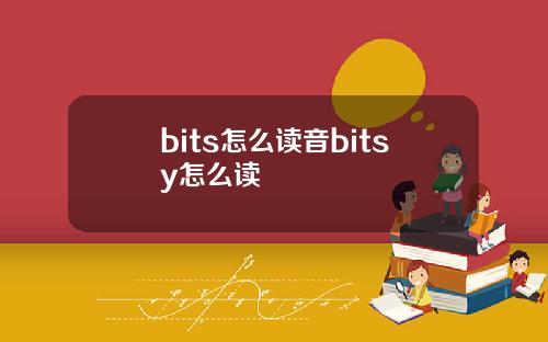 bits怎么读音bitsy怎么读