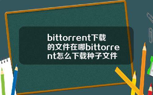 bittorrent下载的文件在哪bittorrent怎么下载种子文件