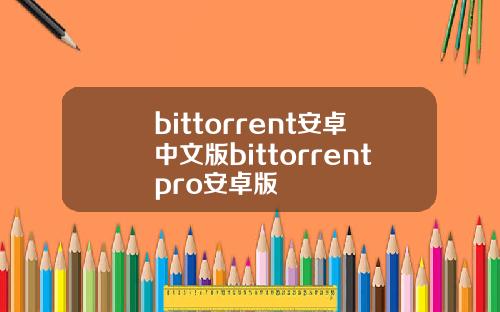 bittorrent安卓中文版bittorrentpro安卓版