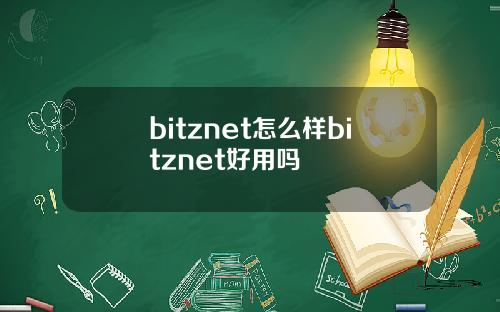bitznet怎么样bitznet好用吗