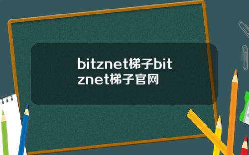 bitznet梯子bitznet梯子官网
