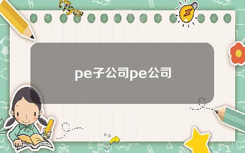 pe子公司pe公司