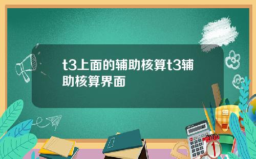 t3上面的辅助核算t3辅助核算界面