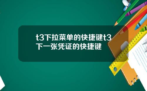 t3下拉菜单的快捷键t3下一张凭证的快捷键