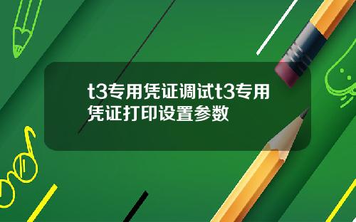 t3专用凭证调试t3专用凭证打印设置参数