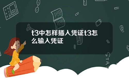 t3中怎样插入凭证t3怎么输入凭证