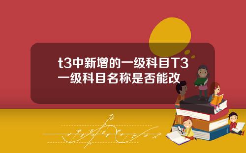 t3中新增的一级科目T3一级科目名称是否能改
