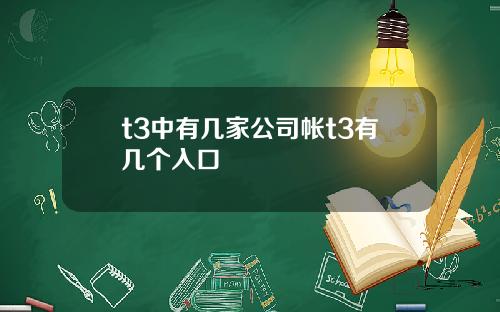 t3中有几家公司帐t3有几个入口
