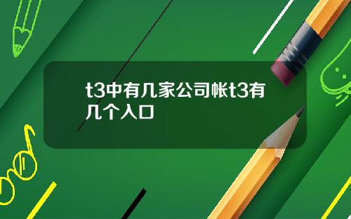 t3中有几家公司帐t3有几个入口