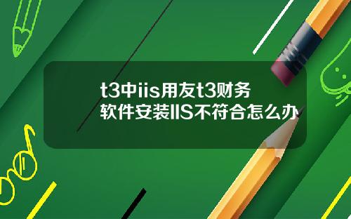 t3中iis用友t3财务软件安装IIS不符合怎么办