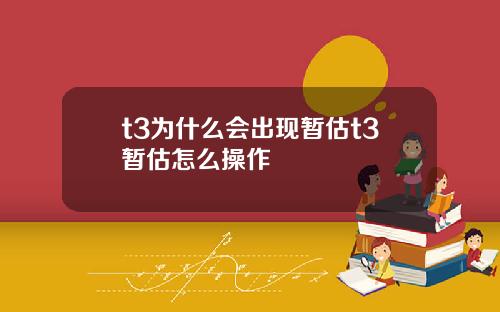 t3为什么会出现暂估t3暂估怎么操作