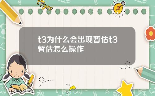 t3为什么会出现暂估t3暂估怎么操作