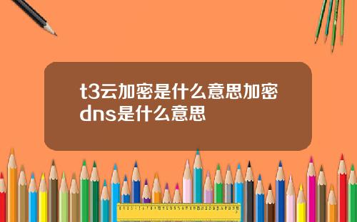 t3云加密是什么意思加密dns是什么意思