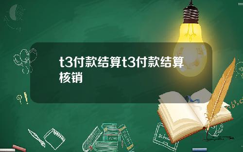 t3付款结算t3付款结算核销