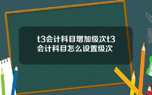 t3会计科目增加级次t3会计科目怎么设置级次