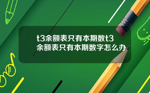 t3余额表只有本期数t3余额表只有本期数字怎么办