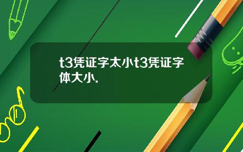 t3凭证字太小t3凭证字体大小.