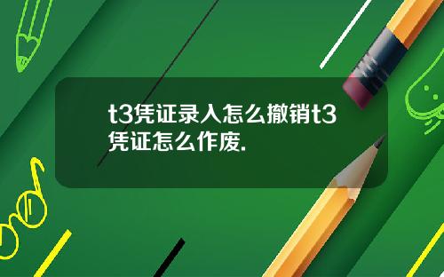 t3凭证录入怎么撤销t3凭证怎么作废.