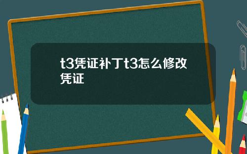 t3凭证补丁t3怎么修改凭证