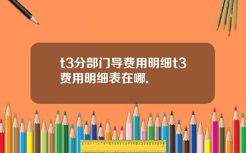 t3分部门导费用明细t3费用明细表在哪.