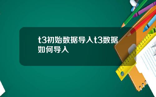 t3初始数据导入t3数据如何导入