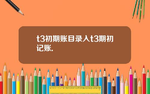 t3初期账目录入t3期初记账.