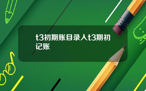 t3初期账目录入t3期初记账