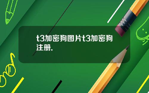t3加密狗图片t3加密狗注册.