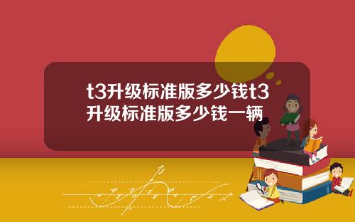 t3升级标准版多少钱t3升级标准版多少钱一辆