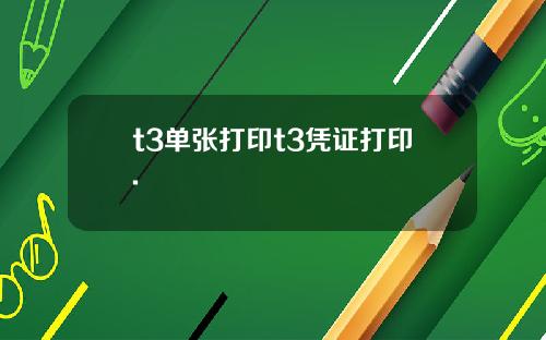 t3单张打印t3凭证打印.