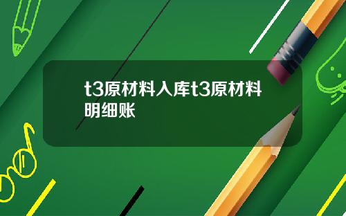t3原材料入库t3原材料明细账
