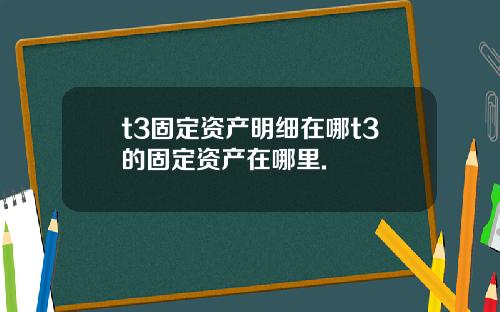 t3固定资产明细在哪t3的固定资产在哪里.
