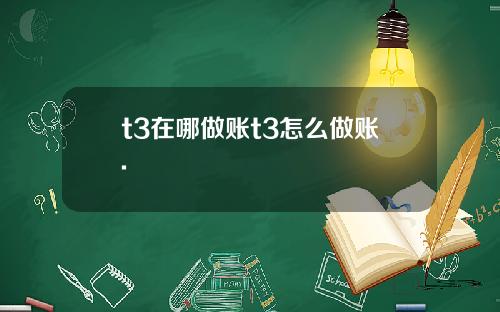 t3在哪做账t3怎么做账.