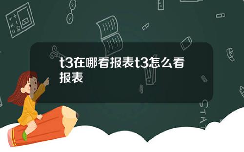 t3在哪看报表t3怎么看报表